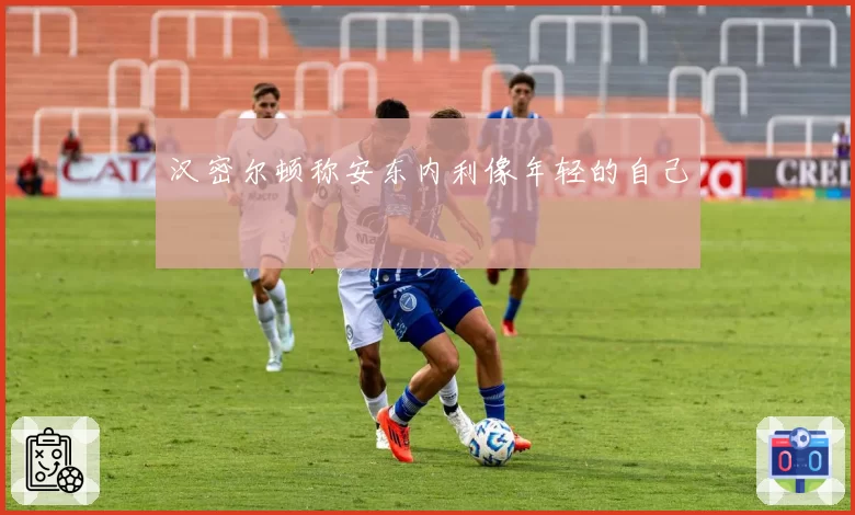 汉密尔顿称安东内利像年轻的自己